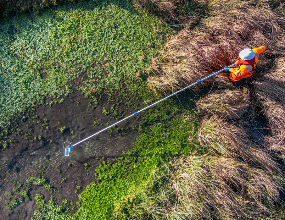 WJ technician conducting surface water sampling in a wetland environment, illustrating WJ UK's commitment to environmental protection and sustainability as experts in water management systems.